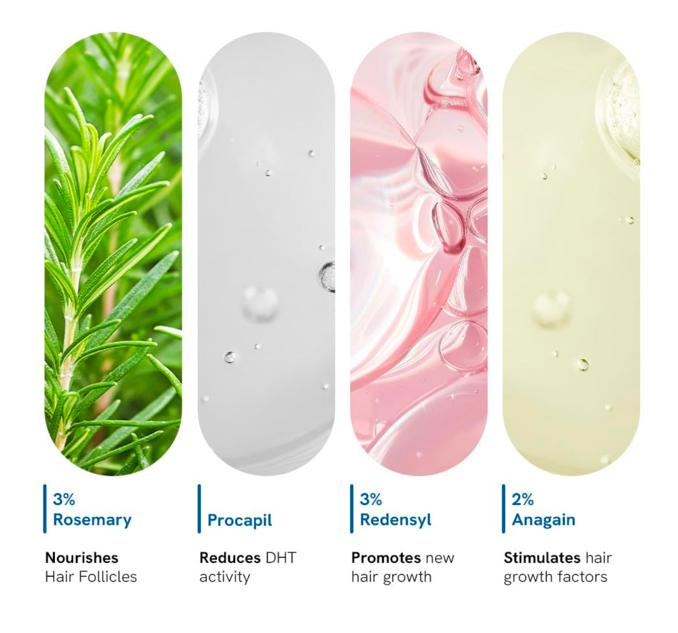 Four product panels with botanical images and text on a white background